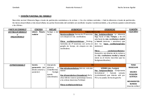 Resumen-de-cerebelo.pdf