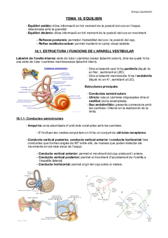 Apunts-Fisiologia-i-Fisiopatologia-I-Tema-18.pdf