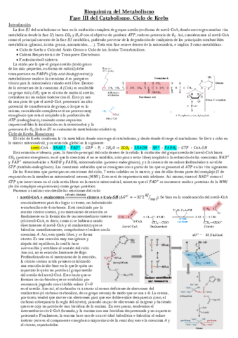 Fase-III-del-Catabolismo.pdf