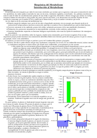 Introduccion-al-Metabolismo.pdf