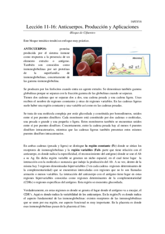 Leccion-11-Produccion-de-anticuerpos.pdf