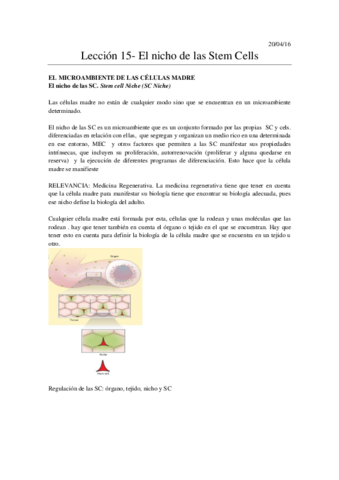 Leccion-15-El-nicho-de-las-Stem-cellsCOMPLETO.pdf