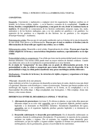 TEMA-3.pdf
