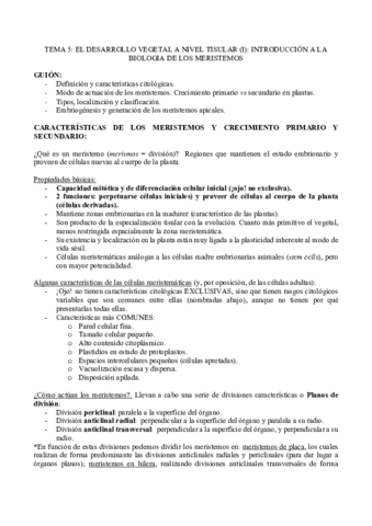 TEMA-5.pdf