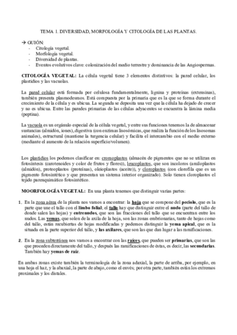 TEMA-1.pdf