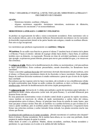 TEMA-7.pdf