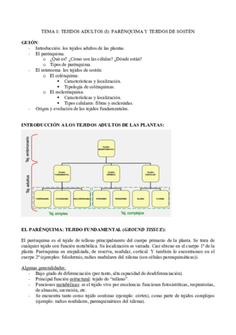 TEMA-8-pdf.pdf