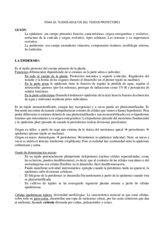 TEMA-10-.pdf