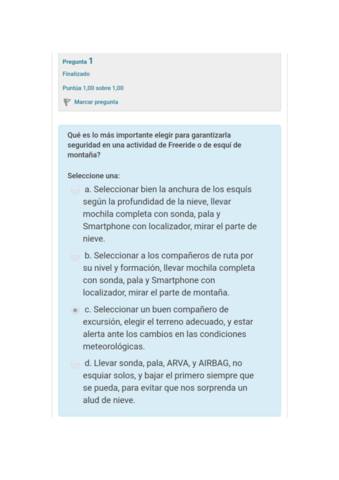 Cuestionario-final-actualizado.pdf