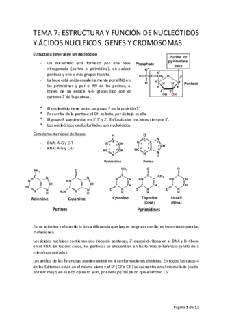 BIOQ.pdf