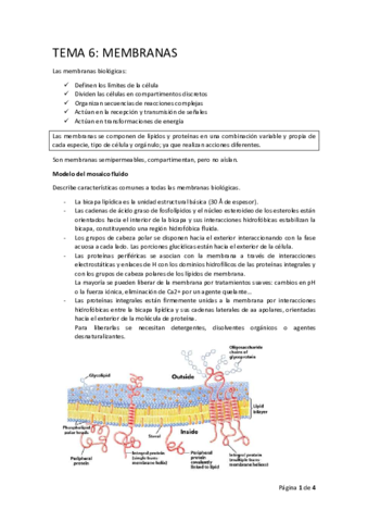 BIOQ.pdf