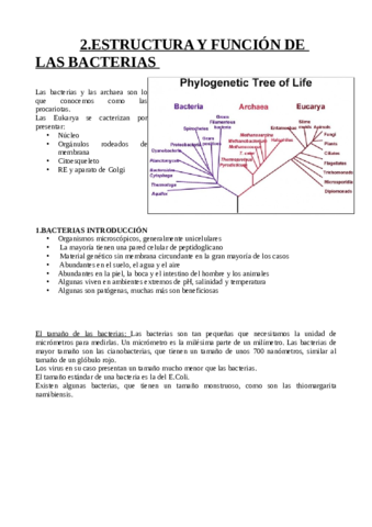 apuntes-del-2-tema.pdf