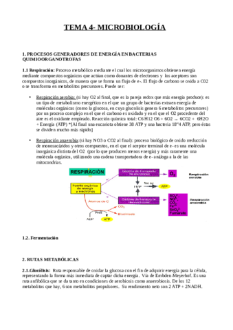 tema-4.pdf