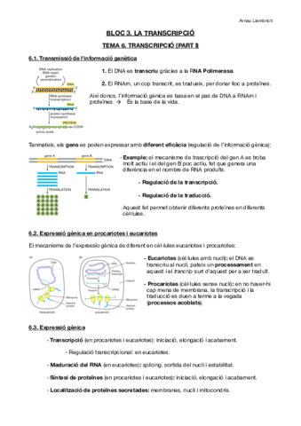 Apunts-Biologia-Molecular-i-Genomica-Tema-6.pdf