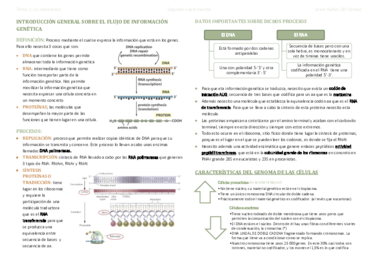 Replicación en los procariotas.pdf