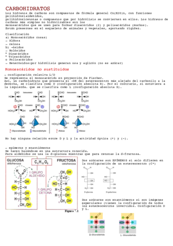 Hidratos-de-carbono.pdf