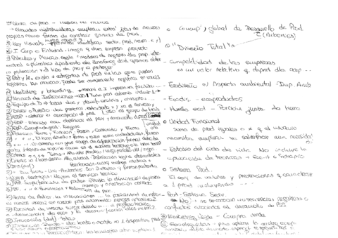 ExamenDYP-AZU (1).pdf