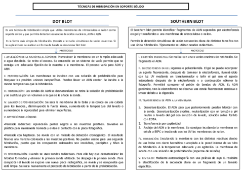 Esquema-Tema-5.pdf