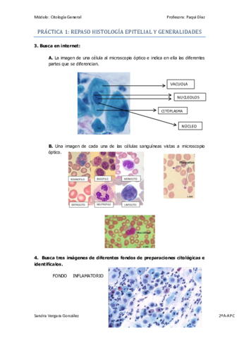 Practica-1.pdf