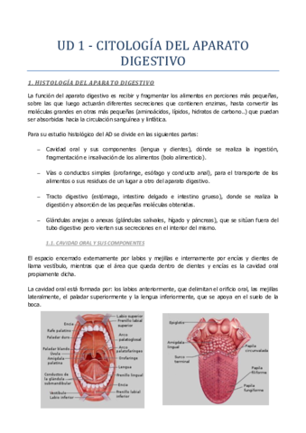 Tema-1-Aparato-digestivo.pdf