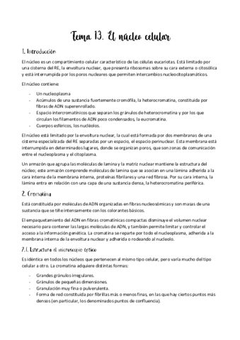 Tema-13.pdf