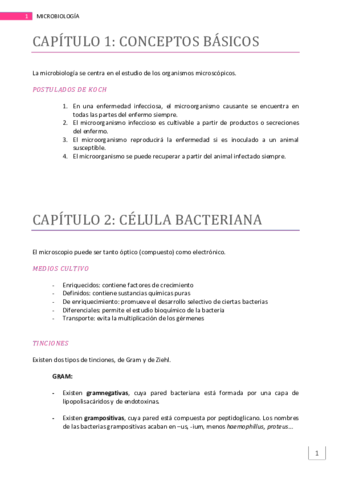 APUNTES MICRO.pdf