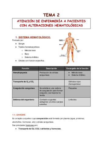 TEMA-2-6.pdf