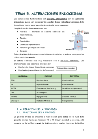 TEMA-5-6.pdf