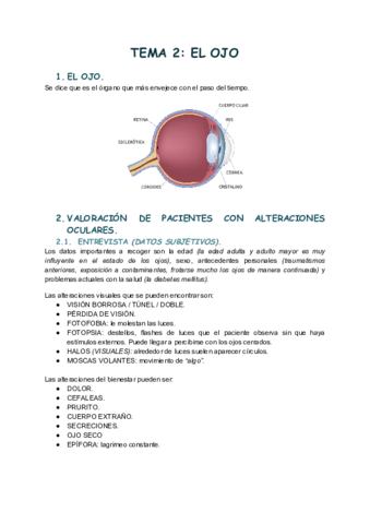 TEMA-2-6.pdf