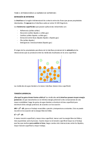 TEMA-5-resumen.pdf