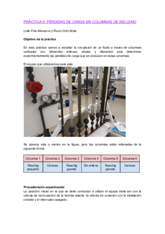 PRACTICA-8-PERDIDAS-DE-CARGA-EN-COLUMNAS-DE-RELLENO-1.pdf