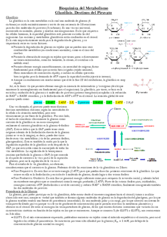 Glucolisis.pdf