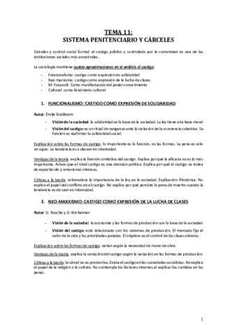 Tema-11-delincuencia-y-control-social-.pdf