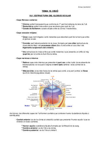 Apunts-Fisiologia-i-Fisiopatologia-I-Tema-19.pdf