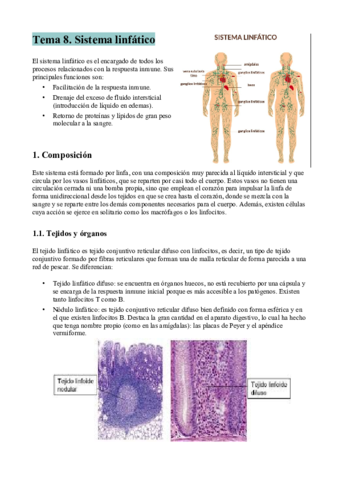 Tema-8-resumen.pdf