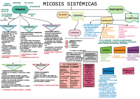 MICOSIS-SIST-ESQUEMA.pdf