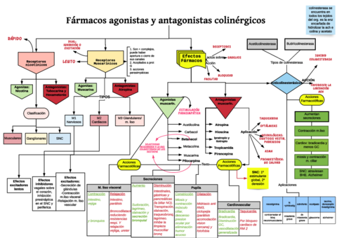 Farmacos-colinergicos-T-18.pdf