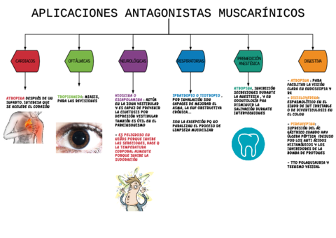 esquema-F-antago-muscarinicos-t-18.pdf