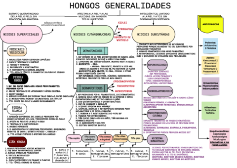 ESQUEMA-hongos-micosis-superf-subc.pdf