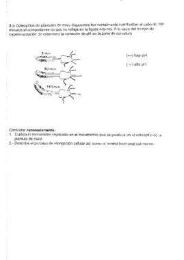 Exámenes fisiología vegetal.pdf