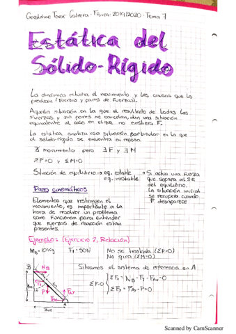 Fisica-Tema-7.pdf