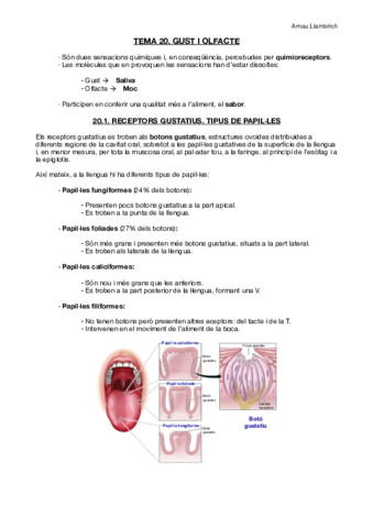 Apunts-Fisiologia-i-Fisiopatologia-I-Tema-20.pdf