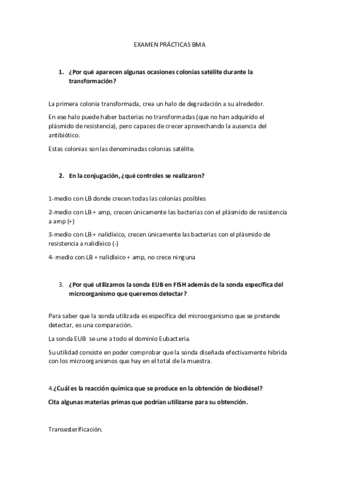 EXAMEN-PRACTICAS-BMA.pdf