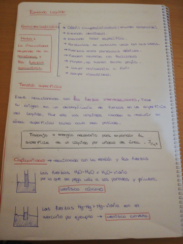tema-liquidos-resuelto.pdf