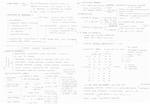 Formulario 1º parcial