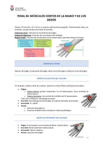 Tema-24-Musculos-de-la-mano.pdf