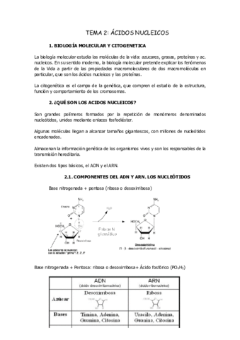 tema-2Acidos-nucleicos.pdf