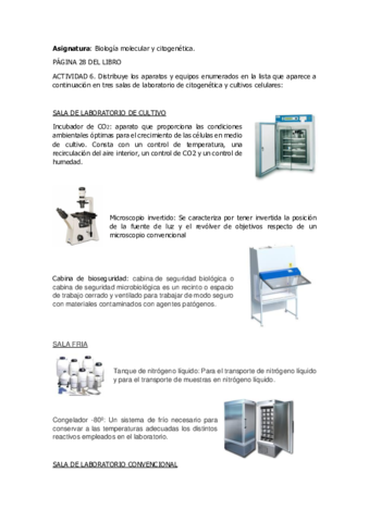 actividad-6-pag-28.pdf