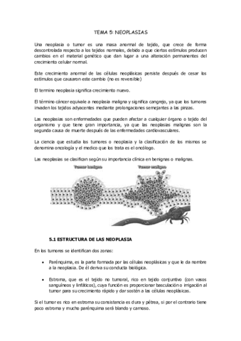 tema-5Neoplasia.pdf