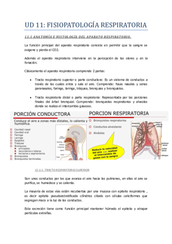 UD-11-Respiratorio.pdf